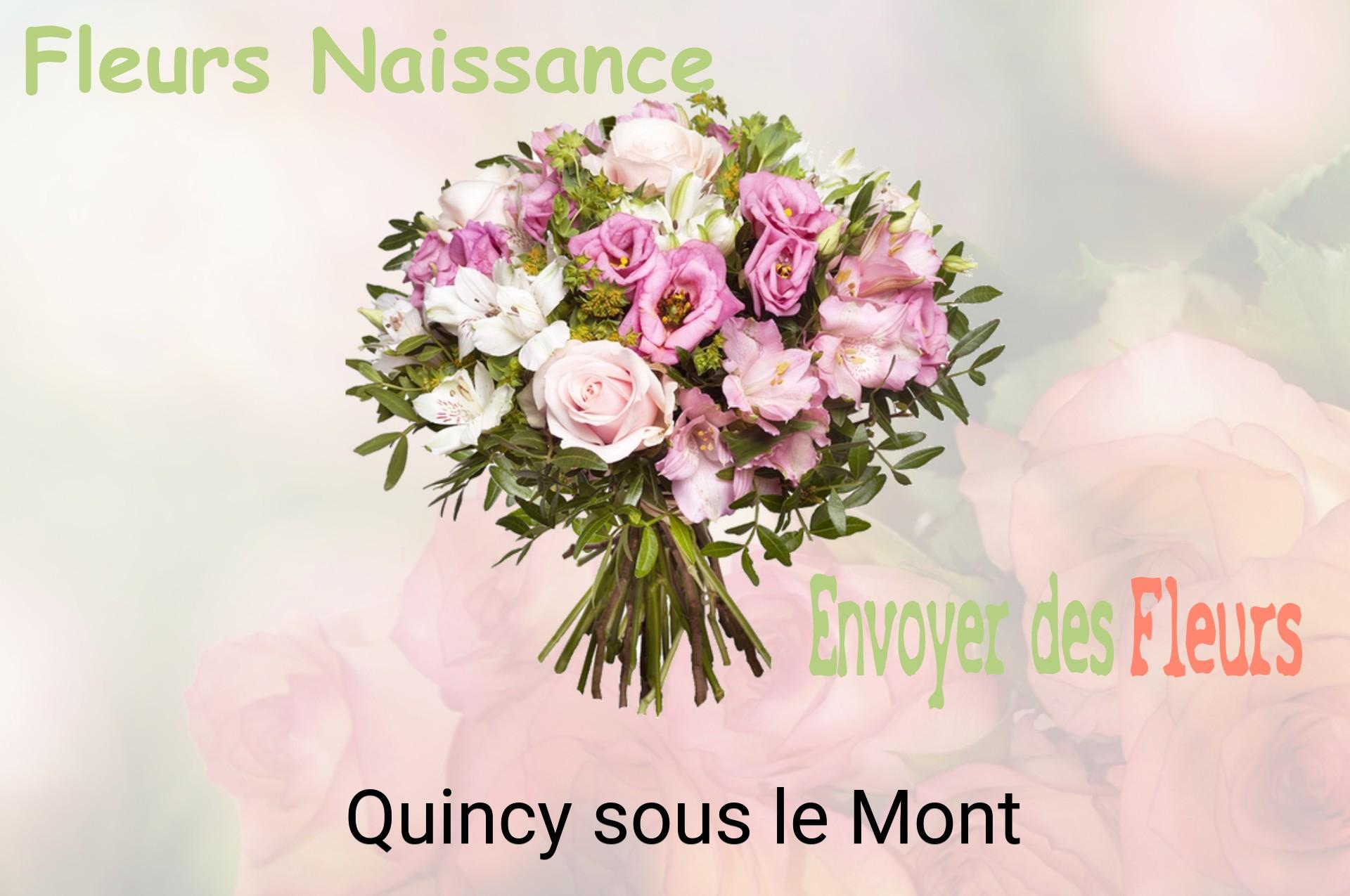 Bouquet de fleurs de naissance livré à Quincy-sous-le-Mont